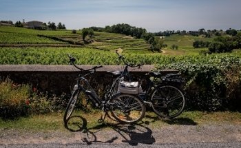Bordeaux Wine Pilgrim
