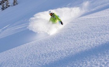 APEX Adventures Snow&Kite Travel