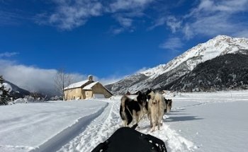 CHIENS DE TRAINEAU LA TRIBU RANDO QUADBIKE