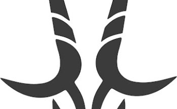 Gemsbok Reizen
