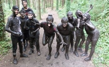 Organización Grupal