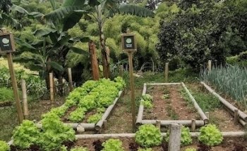 Fundación Panaca