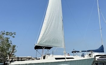 Bacalitos Tour