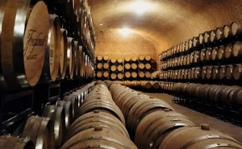 VINO TOURS
