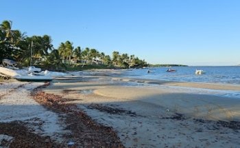 Visit Mangue Seco