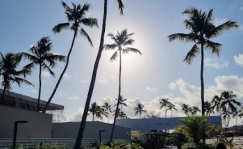 Coco Verde Turismo