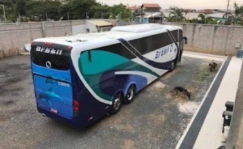 Golfinho Turismo