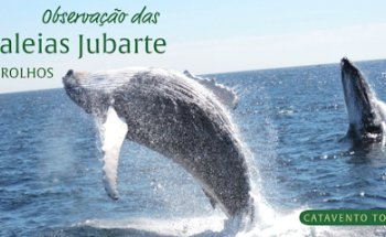 Catavento Tour - Receptivo Turístico