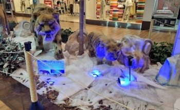 CVC Uberlândia Shopping