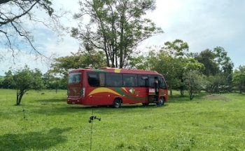 Traveling with Tania