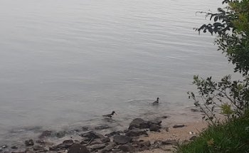 CVC Shopping Rio Claro