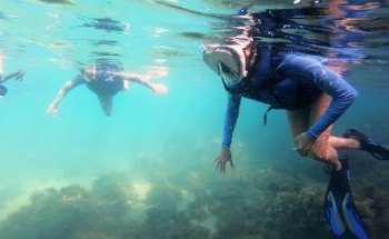 Casa do Turista - Agência Av. Central - Balneário Camboriú