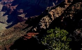Christianson Tours