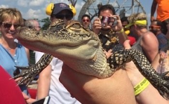 Gators and Ghosts: New Orleans Tours