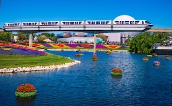 DVC Rental Store
