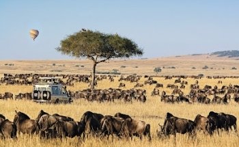 Micato Safaris-Luxury African Safaris