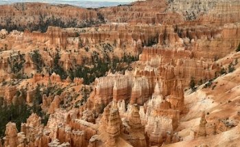 Zion Stays Vacation Rentals