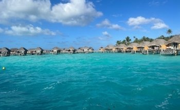 Travel Leaders - RSVP Events & Travel