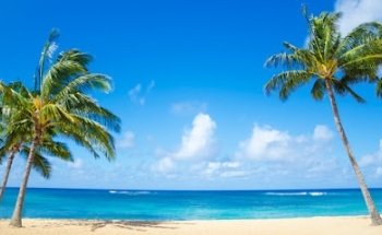 YMT Vacations