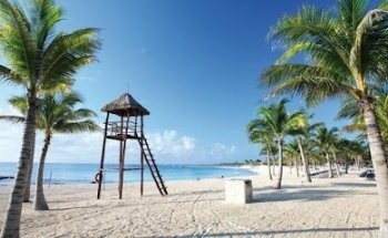 Enchanted Honeymoons