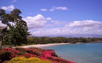 Hawaiian Travel ®