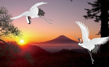 Japan Deluxe Tours, Inc.