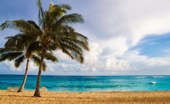 Creative Travel Adventures