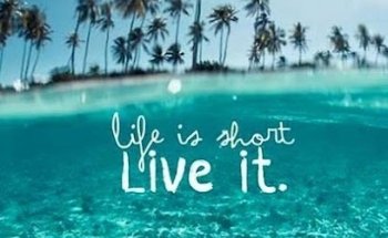 Joan Follmann - Cruise Planners - Travel Agent