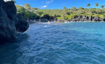 Hawaii Tours