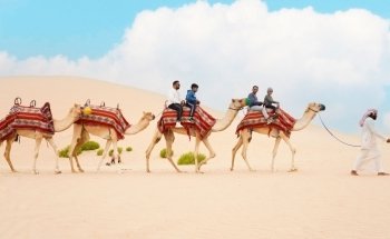 Xtreme Sightseeing Tourism LLC