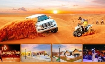 Desert Leap Safari Tourism