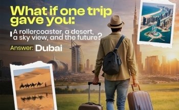 Winter Wings Travel and Tourism LLC