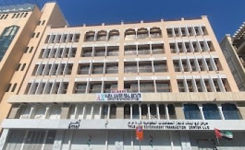 JOY VIEW TOURISM LLC