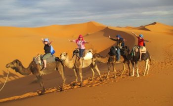 Wonderful-marocco