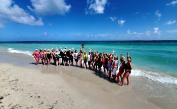 Terri's Travel & Cruise Centre TravelPlus