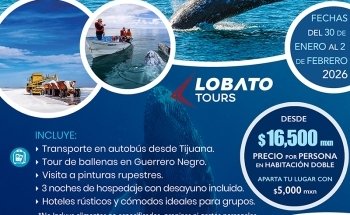 Lobato Tours