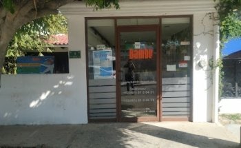 Bambu Travel & Tours