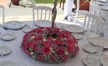 Curreri Service
