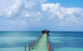Wild Cuba Travel