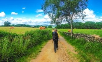 Marly Camino