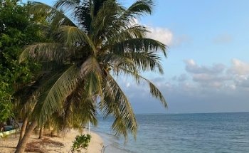 Top Dive Travel