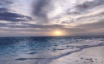 Viajes Abaco Travel