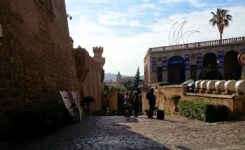 AGA Travel Services