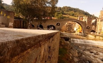 European Desi Tours