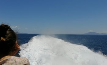 TICFERRY