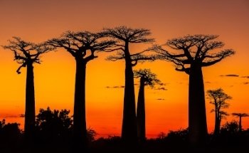 Kim Paffen Photography & Travel Content Creation