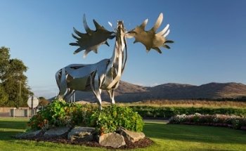 Visit Warrenpoint