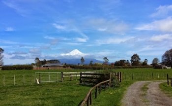 MT TARANAKI GUIDED TOURS