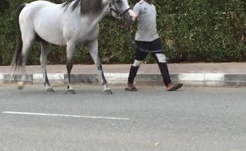 Alfalat Travel الفلاة للسفريات