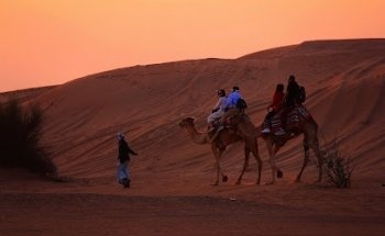 roots hub travel & tourism